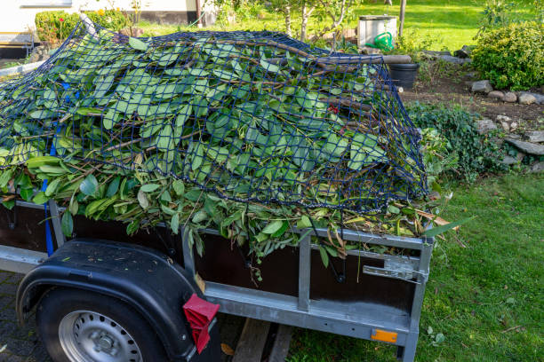 Best Scrap Metal Removal  in Glenwood, IL